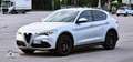 Alfa Romeo Stelvio Stelvio 2020 2.2 t Executive Q4 190cv auto Gris - thumbnail 2