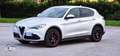 Alfa Romeo Stelvio Stelvio 2020 2.2 t Executive Q4 190cv auto Gris - thumbnail 8