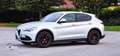 Alfa Romeo Stelvio Stelvio 2020 2.2 t Executive Q4 190cv auto Gris - thumbnail 4