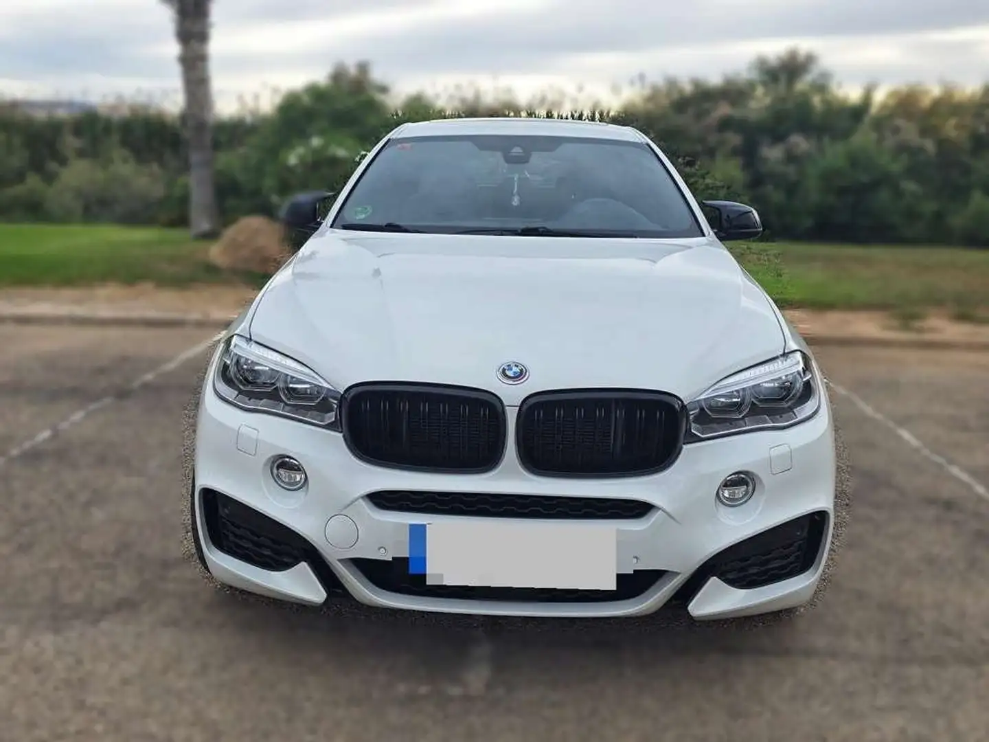 BMW X6 xDrive30d Blanco - 1