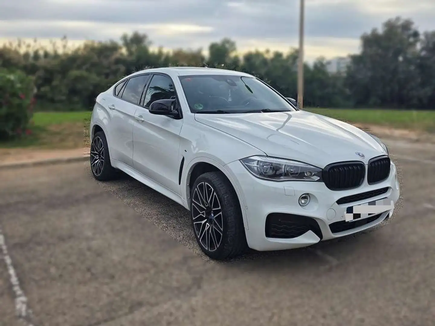 BMW X6 xDrive30d Blanco - 2