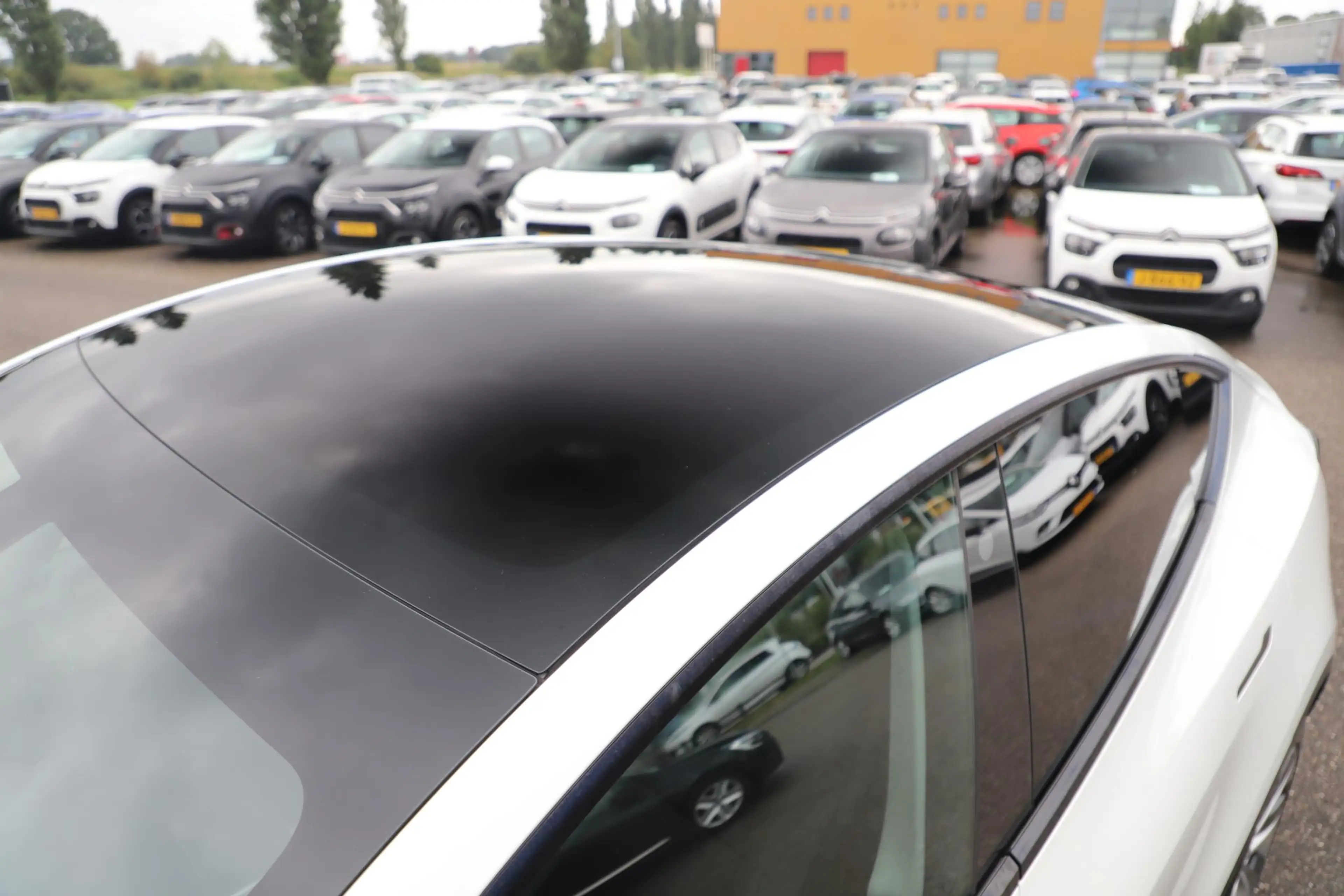 Tesla Model Y Long Range AWD 75 kWh Afneembare Trekhaak Panorama — photo 7