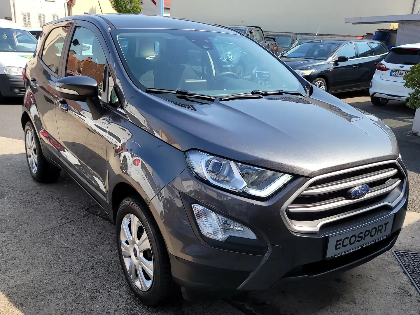 Ford EcoSport Cool Grau - 1