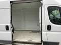 Fiat Ducato 35 3.0 COIBENTATO CNG PLM-TA Furgone Blanc - thumbnail 12