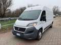 Fiat Ducato 35 3.0 COIBENTATO CNG PLM-TA Furgone Blanc - thumbnail 1