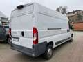Fiat Ducato 35 3.0 COIBENTATO CNG PLM-TA Furgone Blanc - thumbnail 5