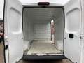 Fiat Ducato 35 3.0 COIBENTATO CNG PLM-TA Furgone Blanc - thumbnail 13