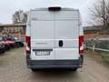 Fiat Ducato 35 3.0 COIBENTATO CNG PLM-TA Furgone Blanc - thumbnail 4