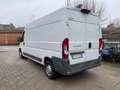 Fiat Ducato 35 3.0 COIBENTATO CNG PLM-TA Furgone Blanc - thumbnail 3