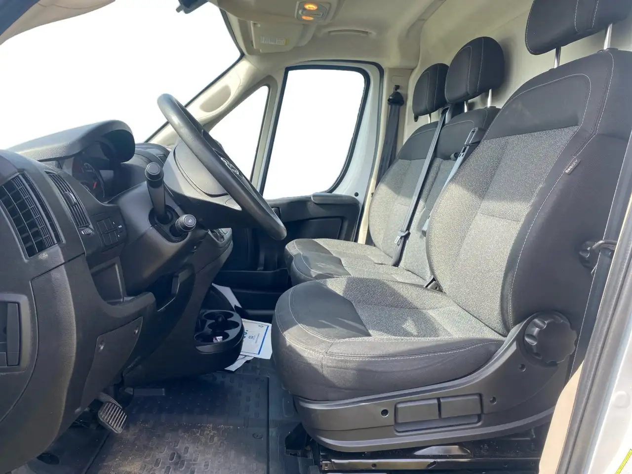 RAM Promaster снимка RAM Promaster