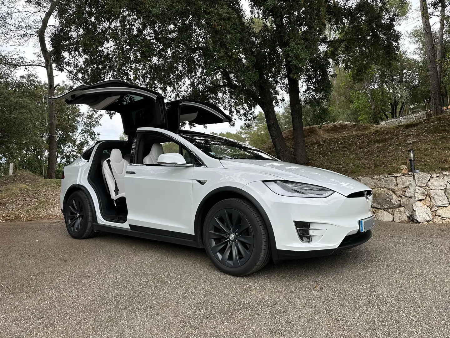 Tesla Model X 100 kWh All-Wheel Drive White - 2
