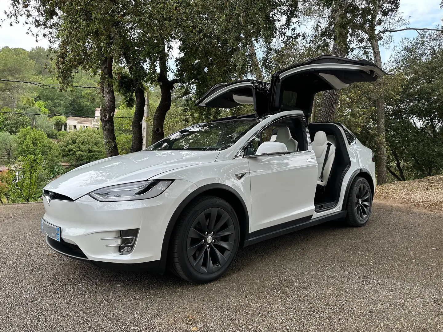 Tesla Model X 100 kWh All-Wheel Drive Biały - 1