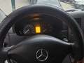 Mercedes-Benz Sprinter 516 CDI 4x4 906.155 White - thumbnail 7