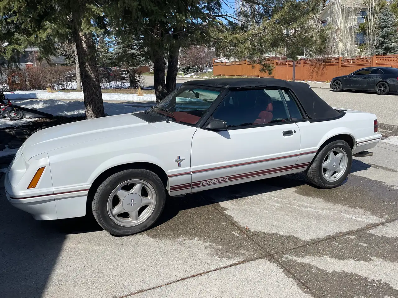 1984 Ford Mustang