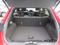 Ford Puma 1.0 EcoBoost MHEV ST-Line Vignale AHK ACC Rot - thumbnail 20