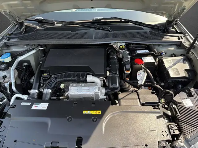 DS Automobiles DS 4 view 8