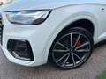 Audi Q5 SPB 40 TDI quattro S tronic S line plus Blanco - thumbnail 14