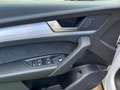 Audi Q5 SPB 40 TDI quattro S tronic S line plus Blanco - thumbnail 7