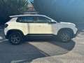 Jeep Avenger Avenger 1.2 turbo Longitude fwd 100cv Weiß - thumbnail 9