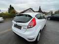 Ford Fiesta Trend*NEU*TÜV*NUR*92KM*KLIMA*2013* Sitzhe Wit - thumbnail 8