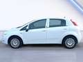 Fiat Punto Evo 1.2 BENZ 69 CV 5 PORTE Dynamic OK NEOPATENTATI Bianco - thumbnail 7