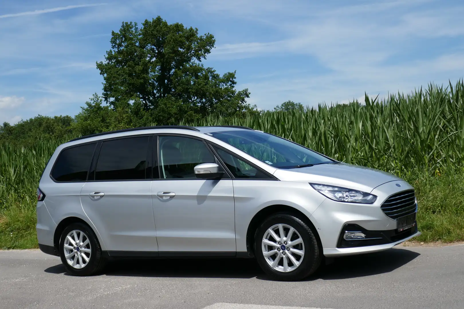 Ford Galaxy Business Hybrid Plateado - 2