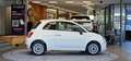 Fiat 500 FireFly Hybrid 70 *Tempomat*Sportsitze* Weiß - thumbnail 5