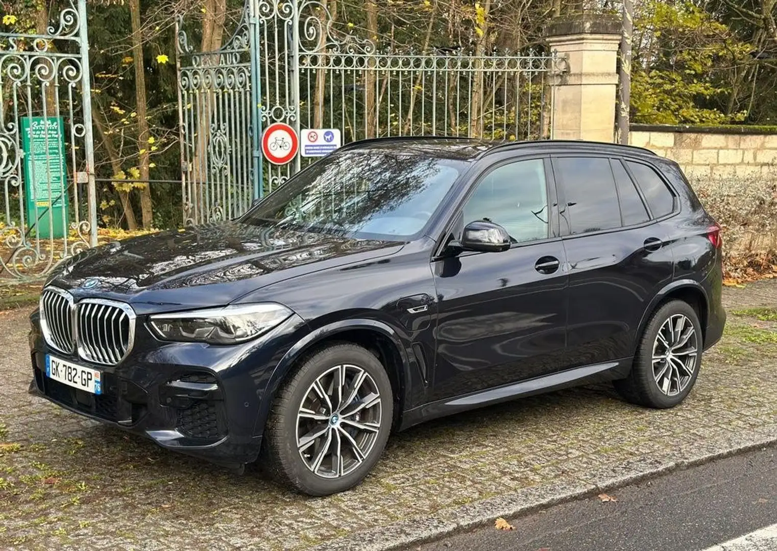 BMW X5 (g05) xdrive45e 394 hybride 17cv m sport bva8 1ère main garantie Bleu - 1