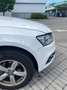 Audi Q5 2.0 tdi quattro 190cv s-tronic Bianco - thumbnail 11
