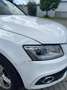 Audi Q5 2.0 tdi quattro 190cv s-tronic Bianco - thumbnail 12