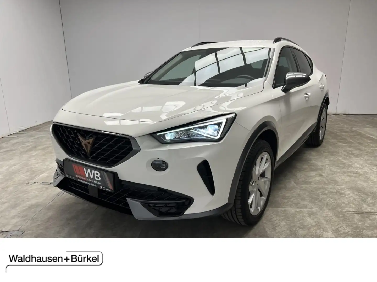 CUPRA Formentor 1.5 TSI DSG Klima Fenster el. Weiß - 1