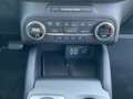 Ford Focus Turnier 1.5 EcoBoost Titanium X Standhzg Rouge - thumbnail 24