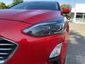 Ford Focus Turnier 1.5 EcoBoost Titanium X Standhzg Rouge - thumbnail 16
