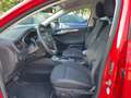 Ford Focus Turnier 1.5 EcoBoost Titanium X Standhzg Rouge - thumbnail 8