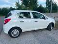 Opel Corsa Opel Corsa D 1.2 ecoFLEX Edition Weiß - thumbnail 12