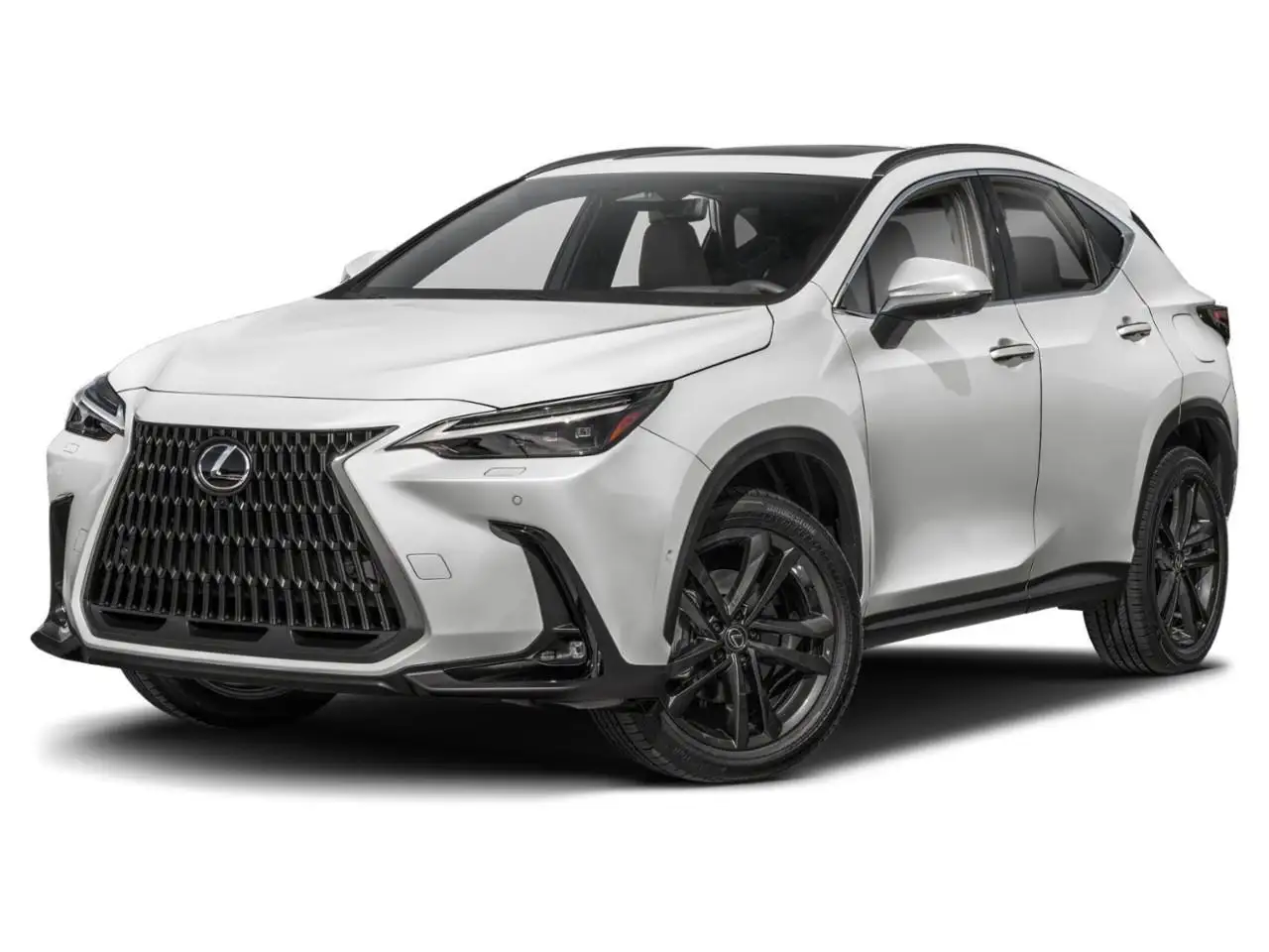 2023 Lexus NX