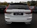 Volvo XC60 B4 Plus Dark SITZBELÜFTUNG LED PANO 360° Weiß - thumbnail 4