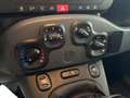 Fiat Panda 1.0 70CV HYBRID Blanco - thumbnail 24