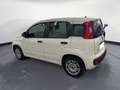 Fiat Panda 1.0 70CV HYBRID Bianco - thumbnail 3