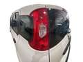 Fiat Panda 1.0 70CV HYBRID Bianco - thumbnail 10