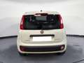 Fiat Panda 1.0 70CV HYBRID Bianco - thumbnail 4