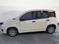 Fiat Panda 1.0 70CV HYBRID Bianco - thumbnail 2
