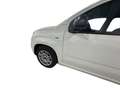 Fiat Panda 1.0 70CV HYBRID Bianco - thumbnail 12