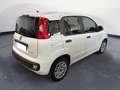 Fiat Panda 1.0 70CV HYBRID Bianco - thumbnail 6