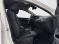 BMW 116 d Sport Line*LIVE*ACC*SHZ*AUTOMATIK Weiß - thumbnail 18