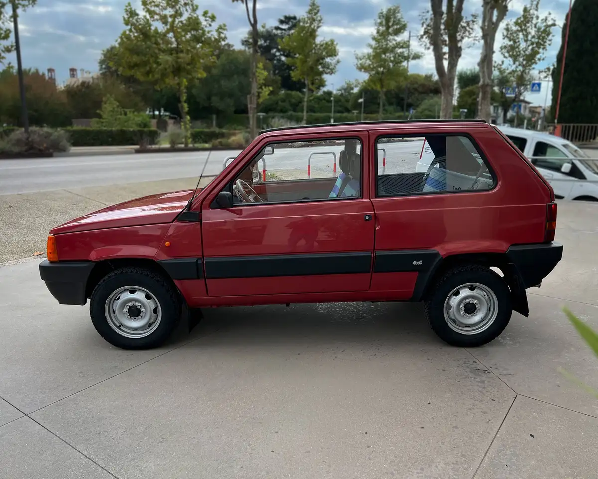 Fiat Panda 4x4 Targa Oro, foto 6
