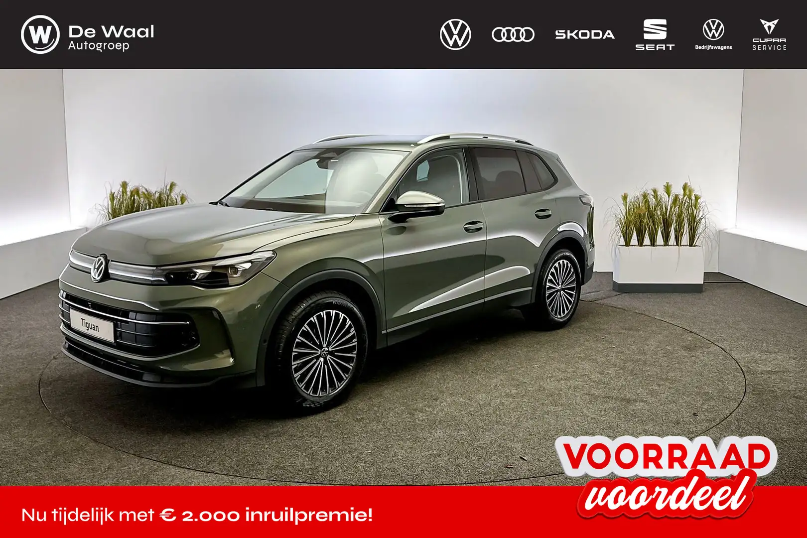 Volkswagen Tiguan Life Edition 1.5 110 kW / 150 pk eTSI SUV 7 versn. Groen - 1