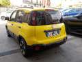 Fiat New Panda NEW - 1.0 FireFly Hybrid PANDINA - thumbnail 14