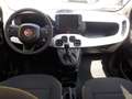 Fiat New Panda NEW - 1.0 FireFly Hybrid PANDINA - thumbnail 7