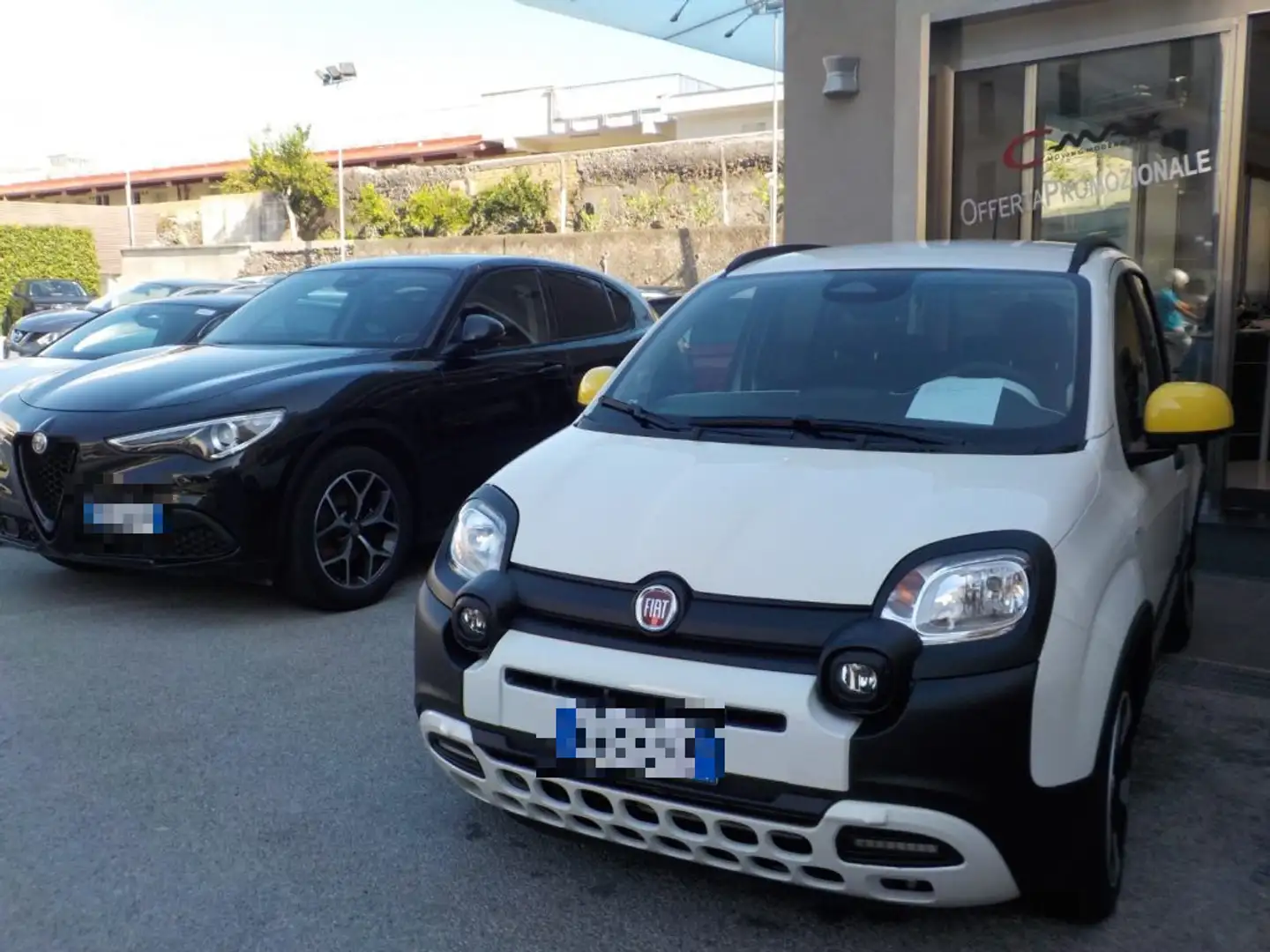 Fiat New Panda NEW - 1.0 FireFly Hybrid PANDINA - 1